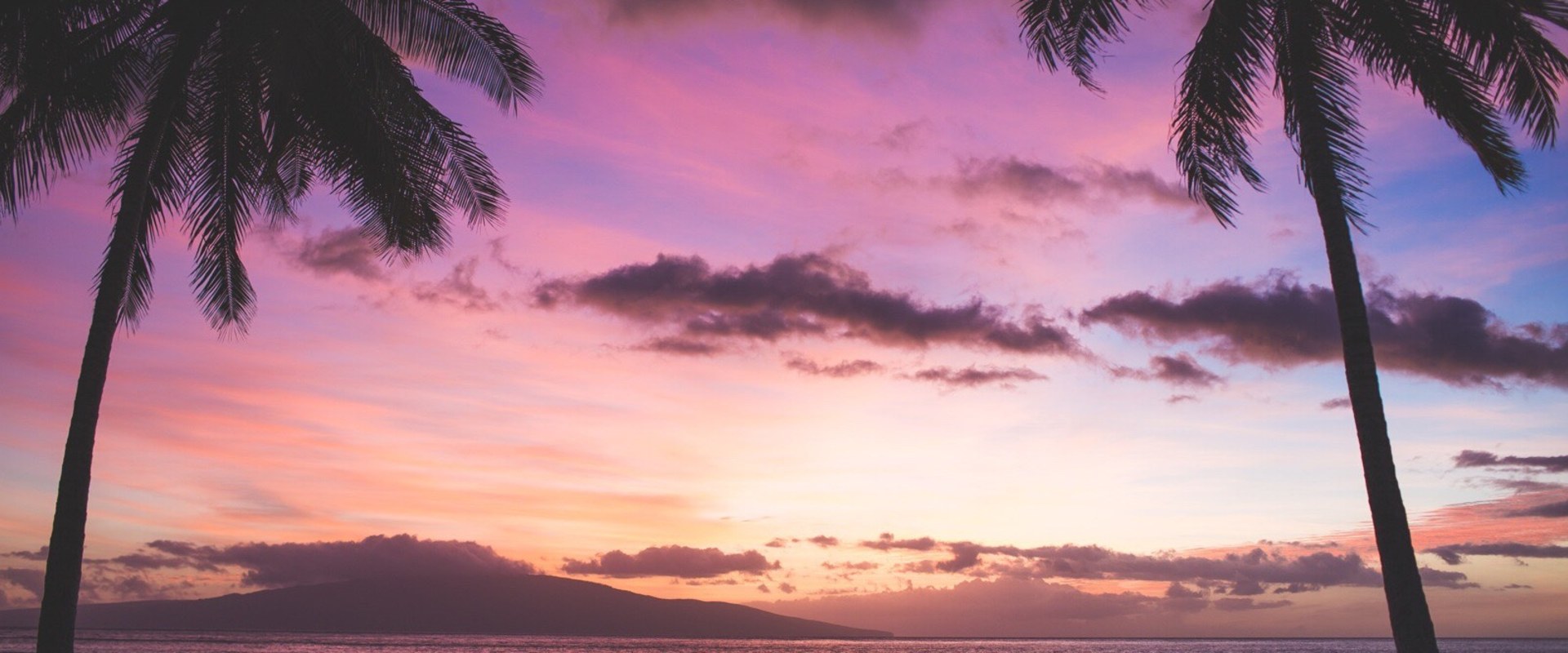 Exploring Career Opportunities in Education in Hawaii