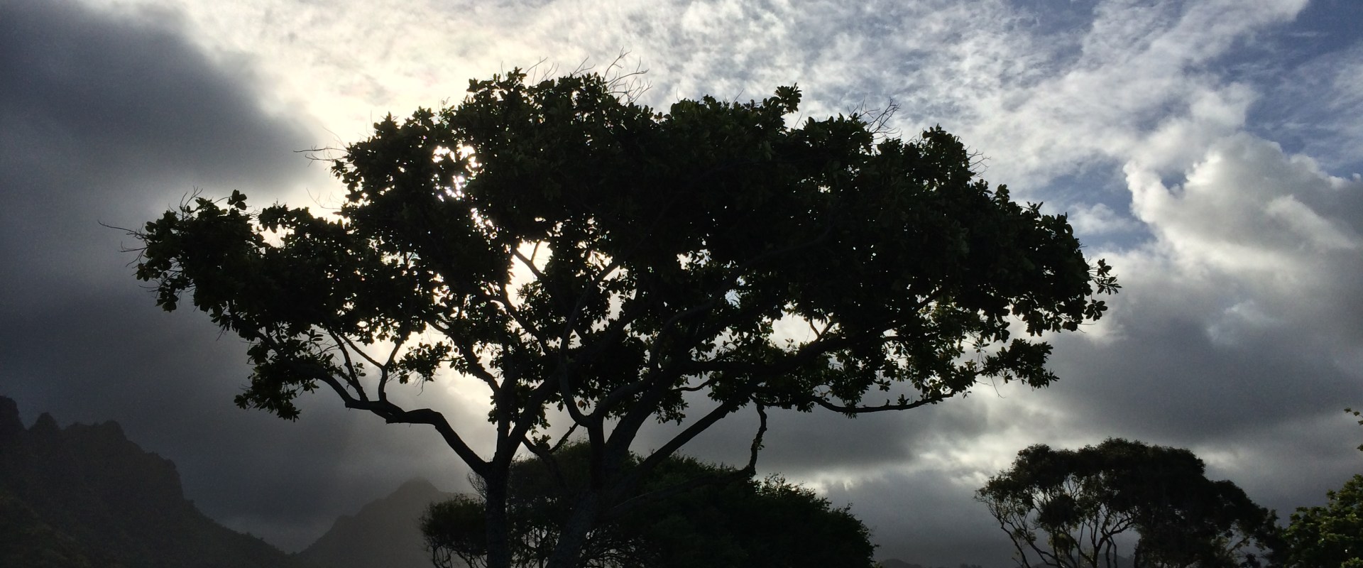 Exploring Indigenous Education and Cultural Heritage in Hawai'i