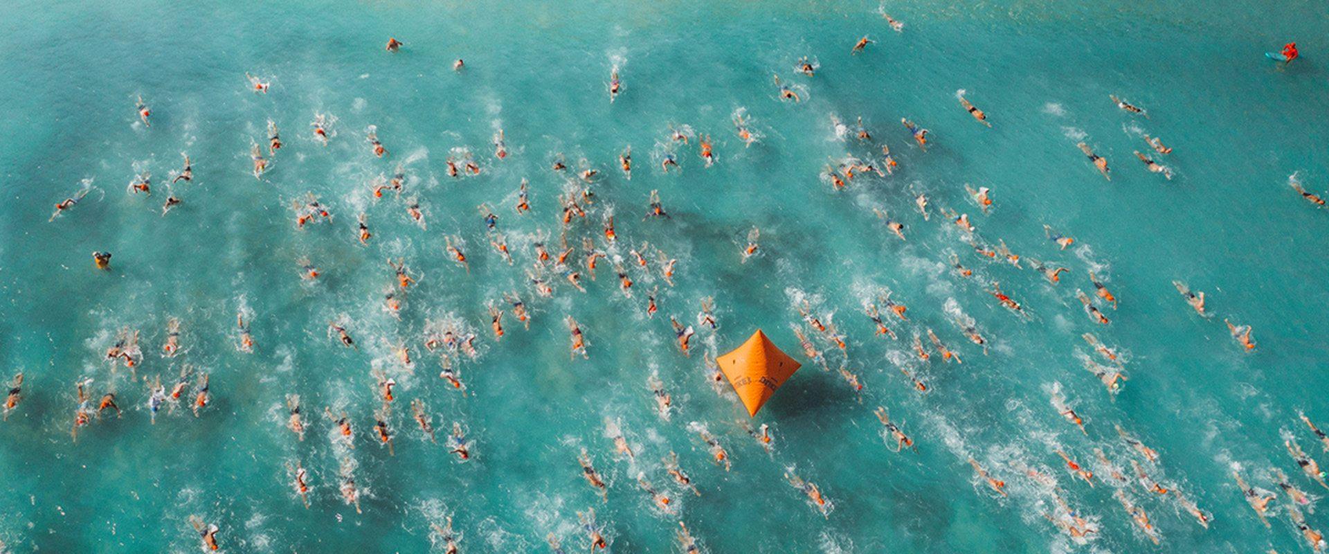 Winning Prizes and Giveaways on a Hawai'i Education Blog