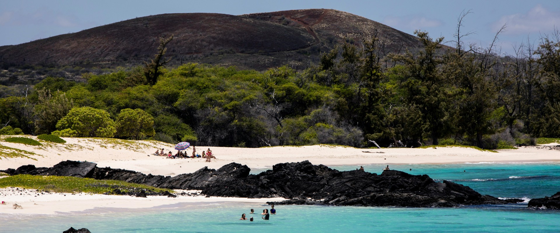 What Types of Educational Resources Can You Find on a Hawaii Education Blog?