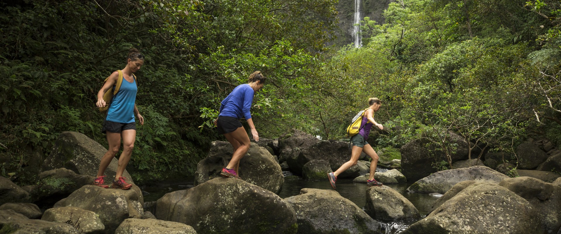 Exploring the Best Hawaii Education Blogs for Educators