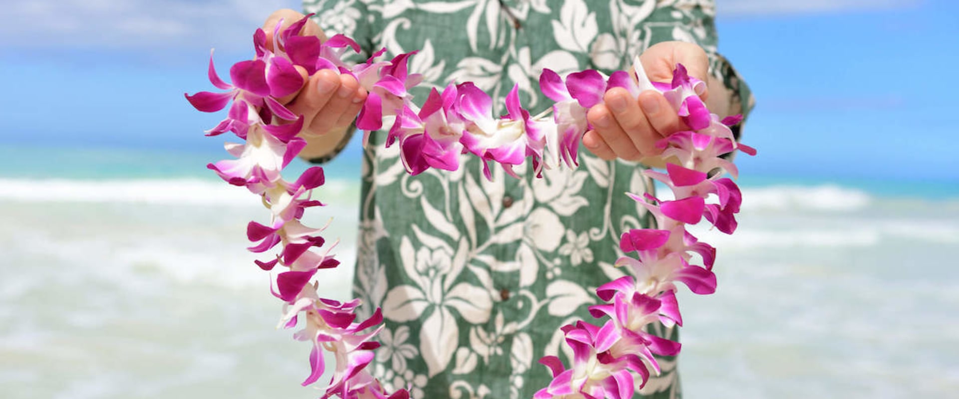 Discover the Best Hawaii Education Blogs