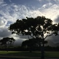 Exploring Indigenous Education and Cultural Heritage in Hawai'i