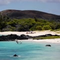 What Types of Educational Resources Can You Find on a Hawaii Education Blog?