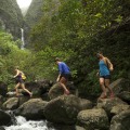 Exploring Hawaii Education Resources for Lesson Plans and Activities