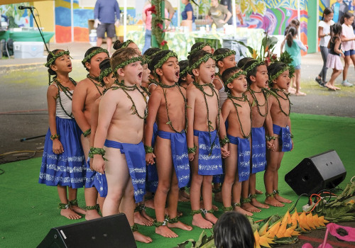 Exploring the Hawaii Language Roadmap Initiative: A Comprehensive Guide to Bilingual Education in Hawaii