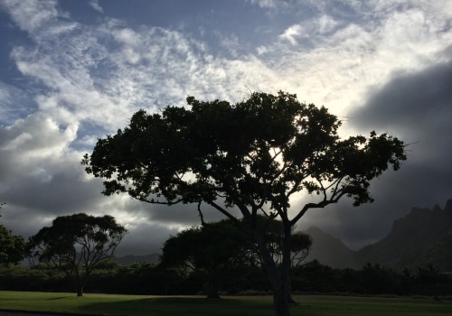 Exploring Indigenous Education and Cultural Heritage in Hawai'i