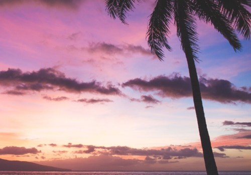 Studying Abroad in Hawaii: A Guide for International Students