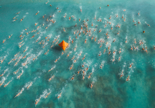 Winning Prizes and Giveaways on a Hawai'i Education Blog