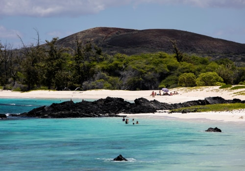 What Types of Educational Resources Can You Find on a Hawaii Education Blog?
