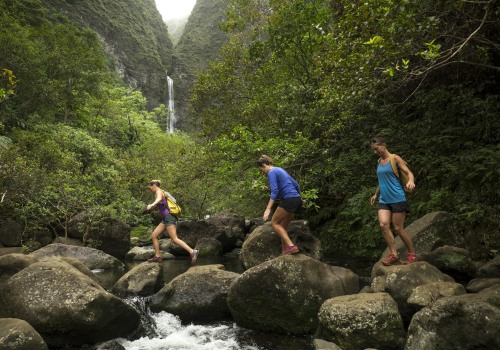 Exploring Hawaii Education Resources for Lesson Plans and Activities